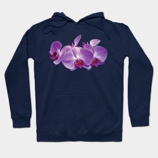 Orchdis - Purple Orchid Trio Hoodie